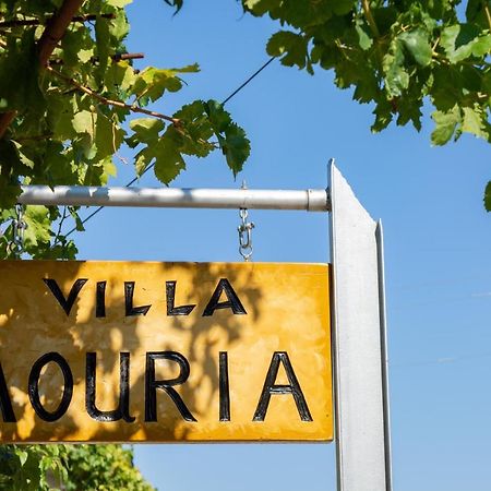 Villa Mouria Pinakokhorion Bagian luar foto
